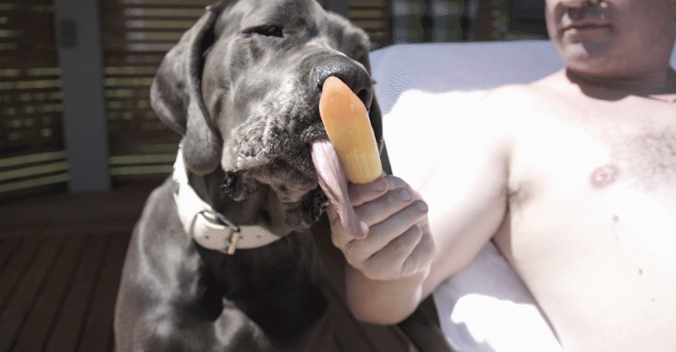 Hidden by the Grapes / No Boredom | Filming, Cutting, Editing, Color Grading